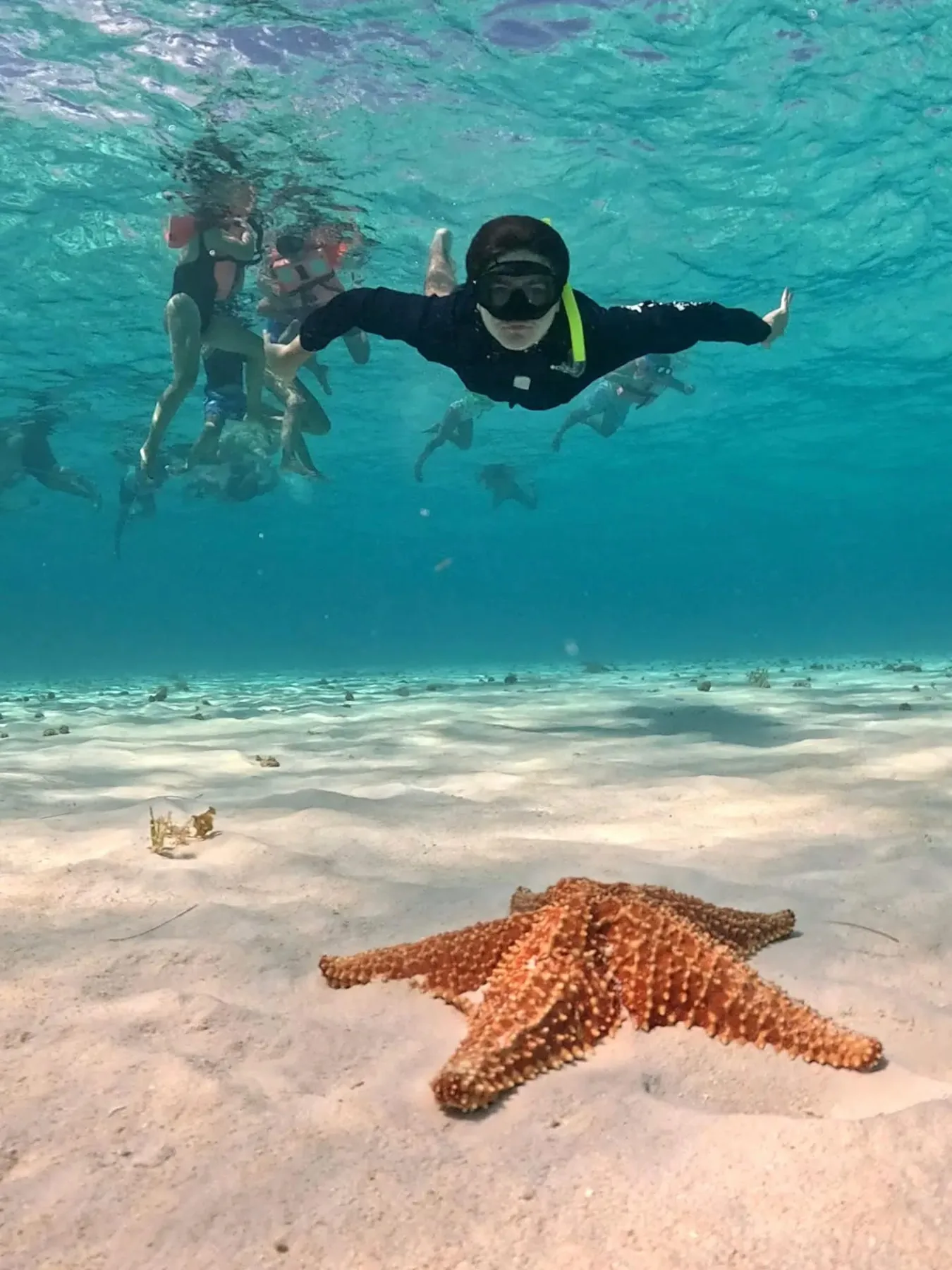 Experiencia de snorkel en cenote